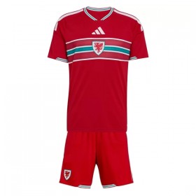 Wales Dječji Domaći Nogometni Dresovi SP 2026