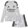 Arsenal Golmanski Dječji Domaći Nogometni Dresovi 2026-27 L/S Arsenal Golmanski Dječji Domaći Nogometni Dresovi 2026-27 L/S