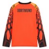 Borussia Dortmund Golmanski Domaći Nogometni Dresovi 2026-27 Naranča L/S