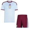 Aston Villa Dječji Treći Nogometni Dresovi 2026-27