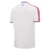 Crystal Palace Domaći Nogometni Dresovi 2026-27