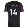 Liverpool Chiesa 14 Dječji Treći Nogometni Dresovi 2026-27
