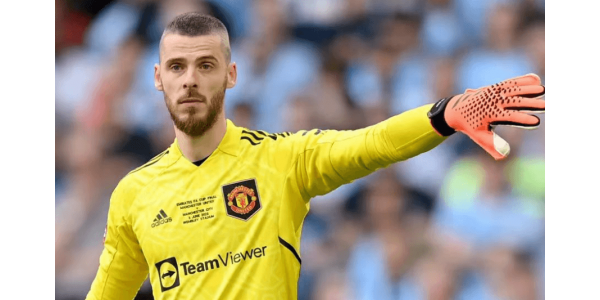 De Gea se vraća u profesionalnu arenu De Gea se vraća u profesionalnu arenu